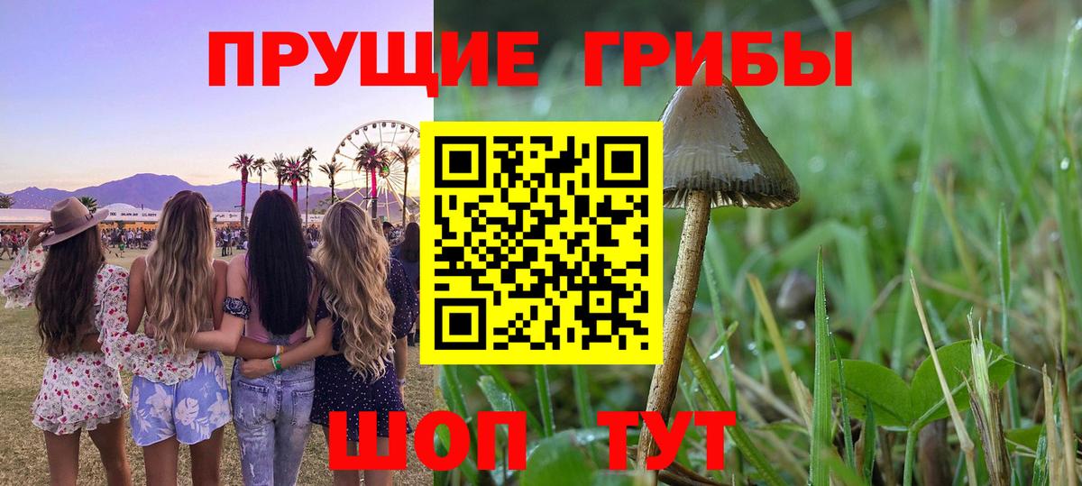закладки  Псилоцибиновые грибы мицелий  Галлюциногенные грибы прущие грибы  Вход с VPN  Кизляр 