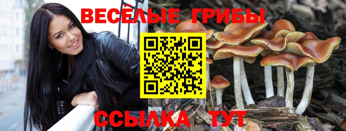 Псилоцибиновые грибы ЛСД Кизляр